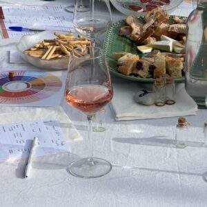 Jo Porto el vi - Per Gaudir